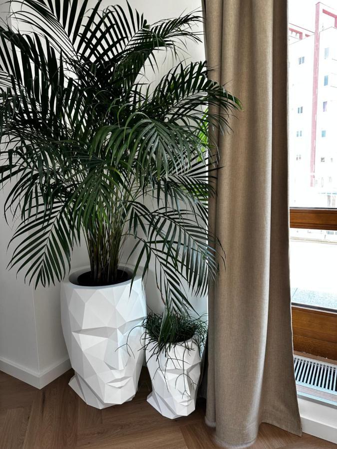 Luxury Penthouse At The Historical Centre With Free Parking Apartment Pressburg