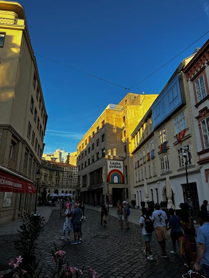 Luxury Penthouse At The Historical Centre With Free Parking * Pressburg
